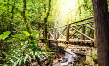 «Expedición a las Alturas: Descubriendo La Tigra y El Picacho»