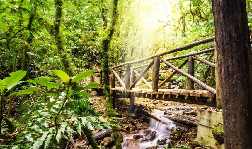 «Expedición a las Alturas: Descubriendo La Tigra y El Picacho»